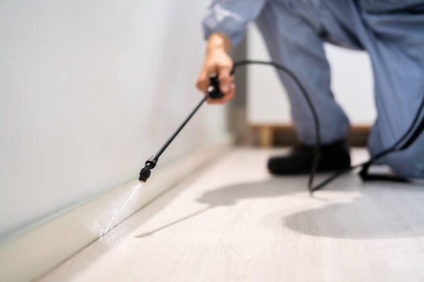 Licensed Pest Control service in Rutland, VT - Show Me Pest Control